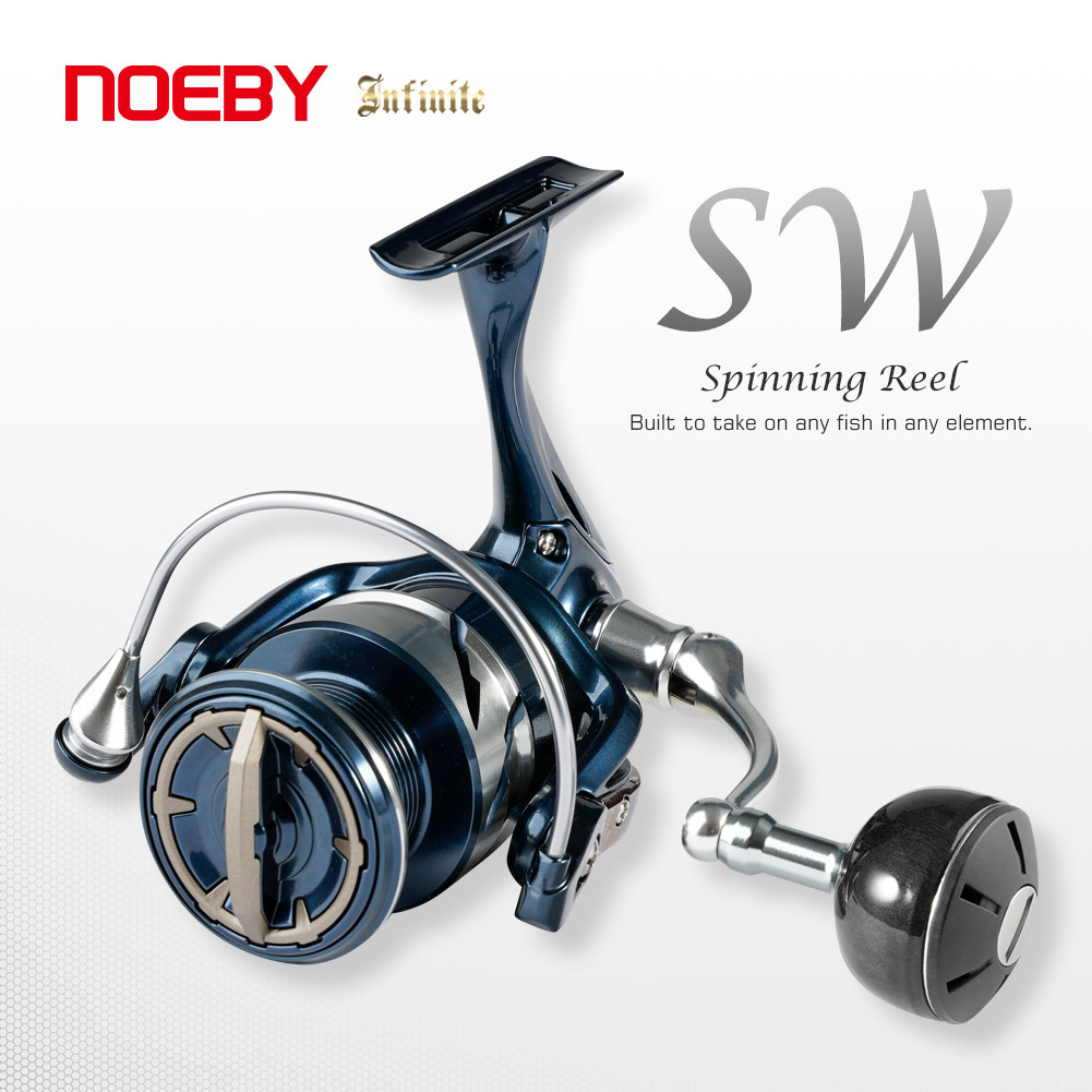 노이비 인피니트 SW 해수 스피닝 낚시릴 2500-10 - Daiwa Reel Bg 리뷰 및 가격